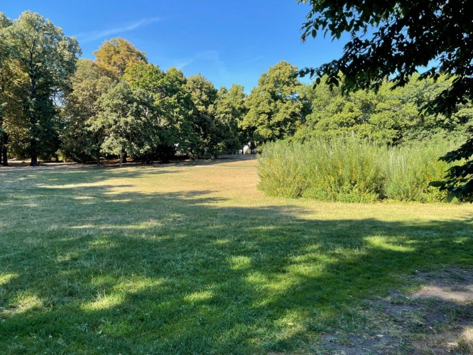 Volkspark Etagenwohnung Berlin