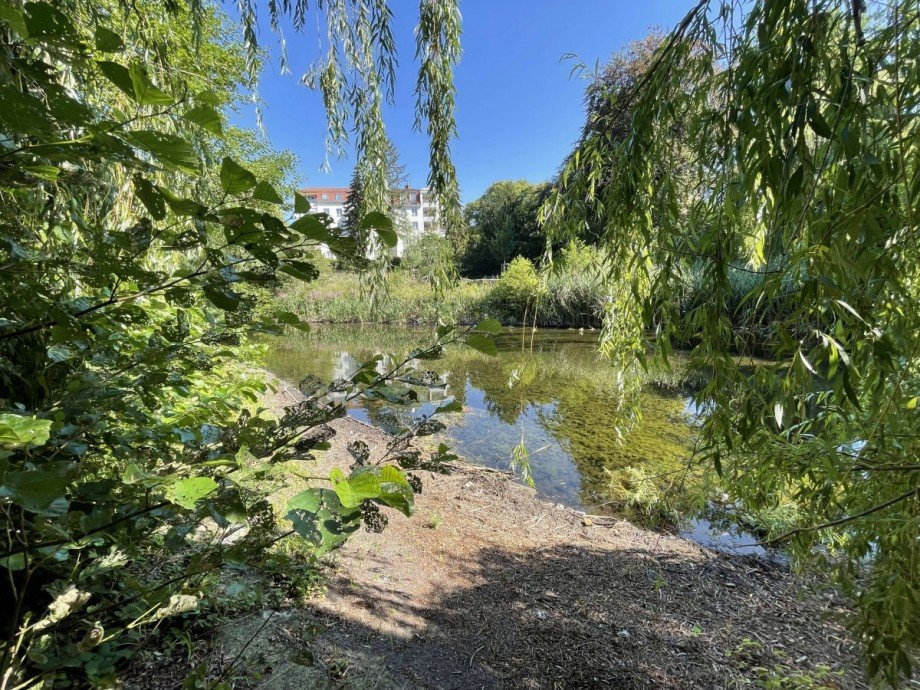 Park Wohnung Berlin
