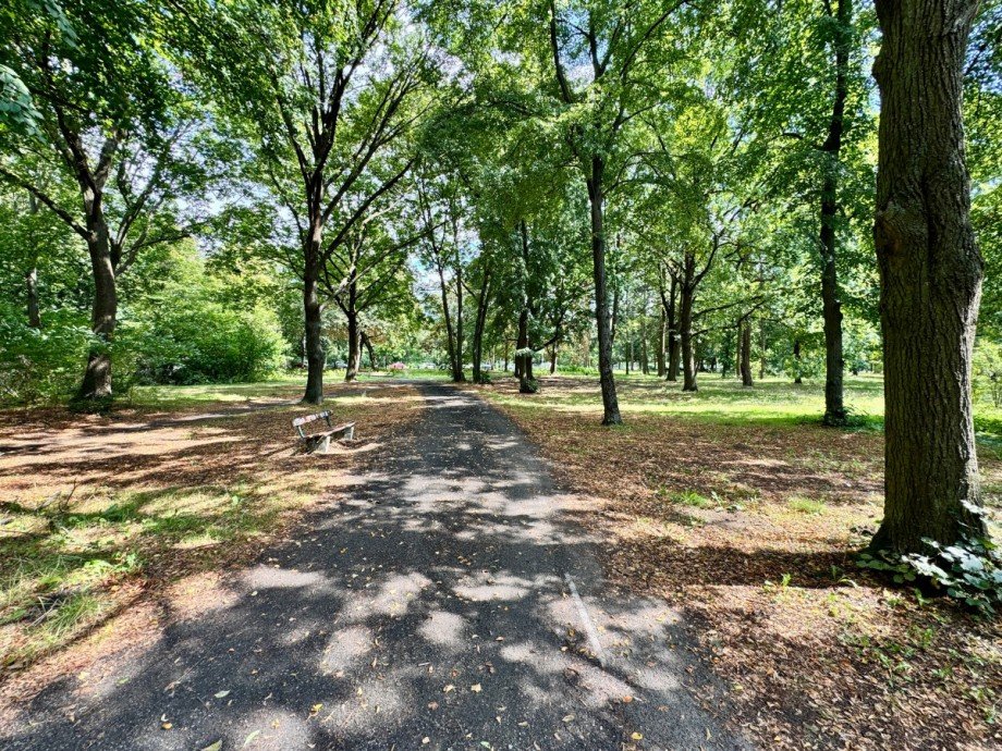 Volkspark Rehberge Etagenwohnung Berlin