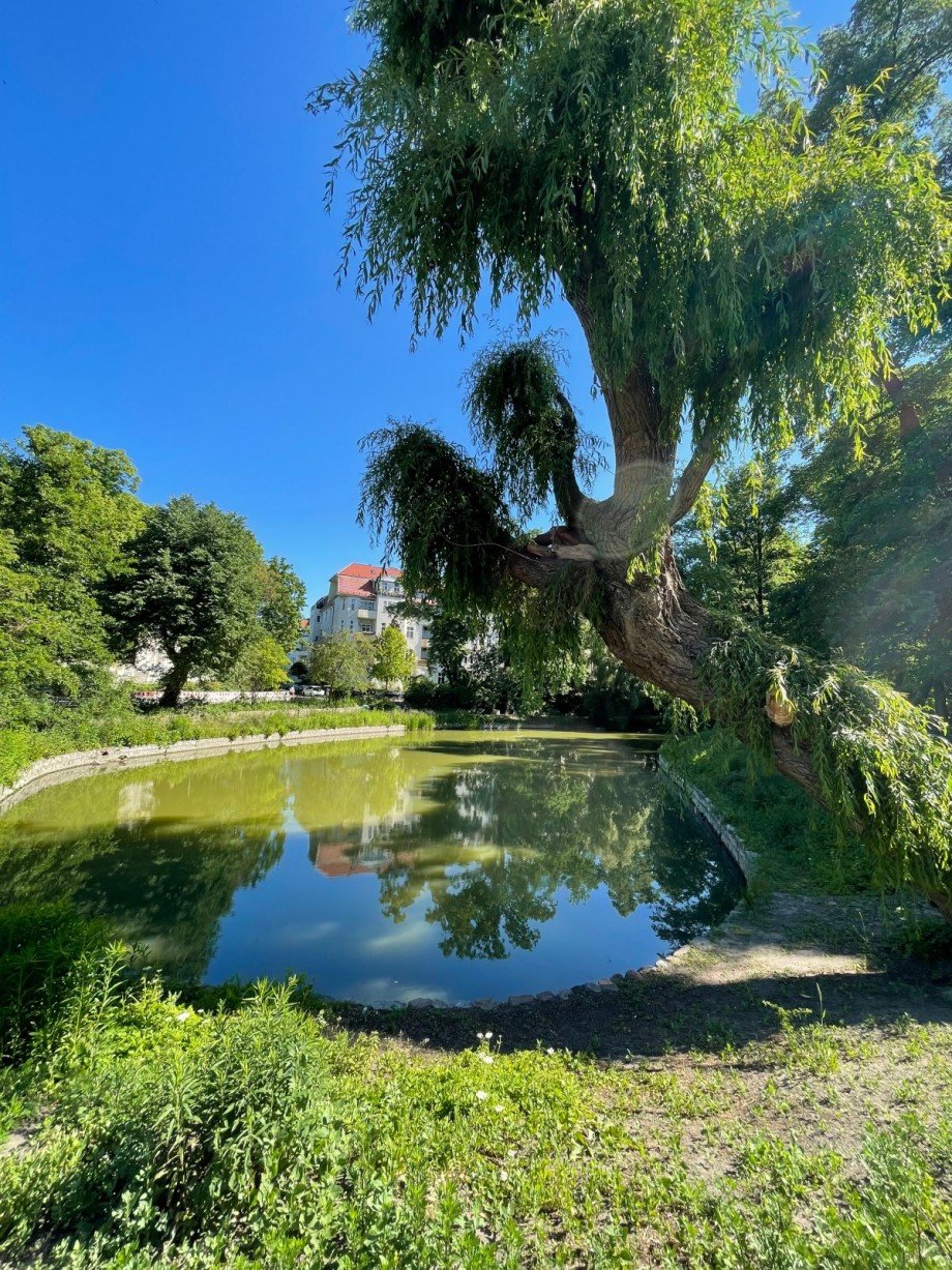 Bosepark Etagenwohnung Berlin