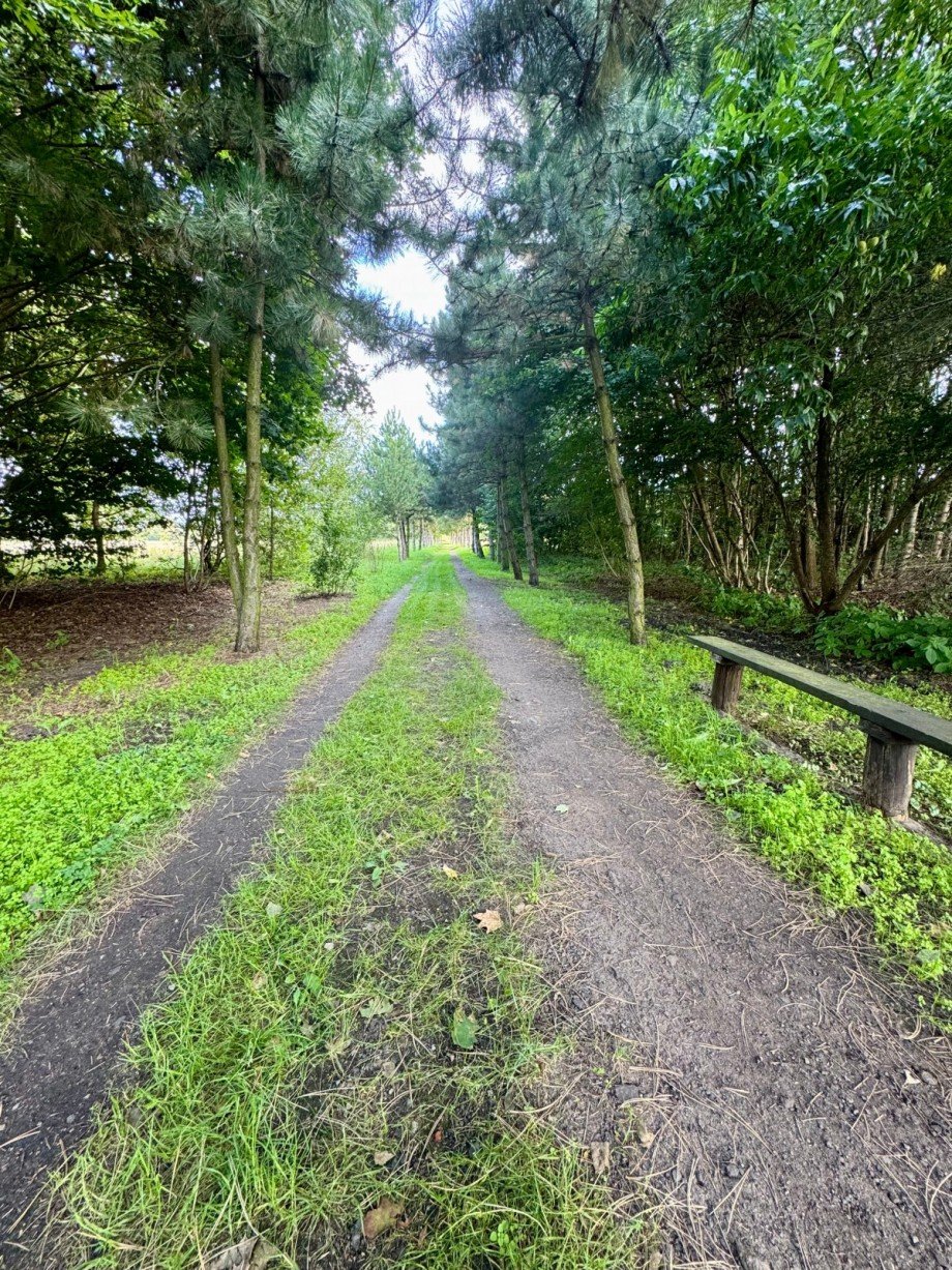 direkte Umgebung Einfamilienhaus Liebenwalde