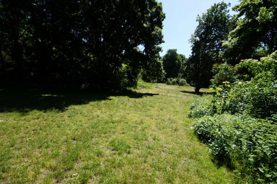 Volkspark Humboldthain Terrassenwohnung Berlin