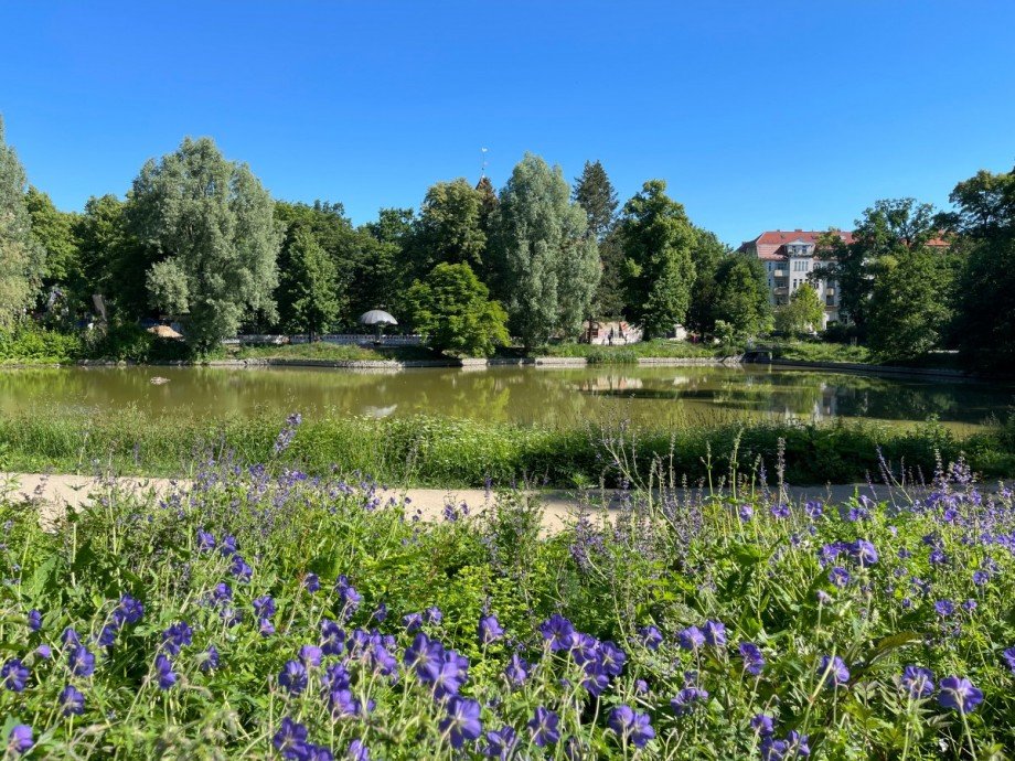 Bosepark Etagenwohnung Berlin
