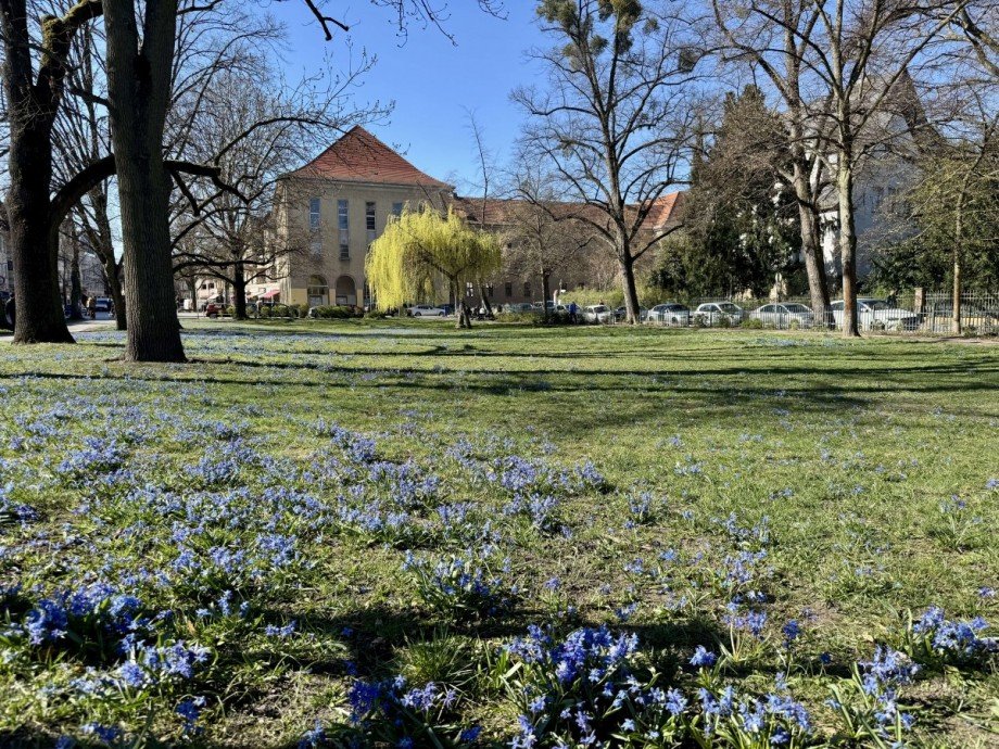 Umgebung Erdgeschosswohnung Berlin