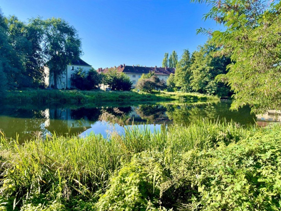 Breitkopfbecken Wohnung Berlin