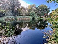Bild (72ecfbfaa2f1bf56c039ef854c7569fe): +++Wohnen am Wasser, 3 oder 4-Zimmer-Variante mit offener K�che m�glich+++