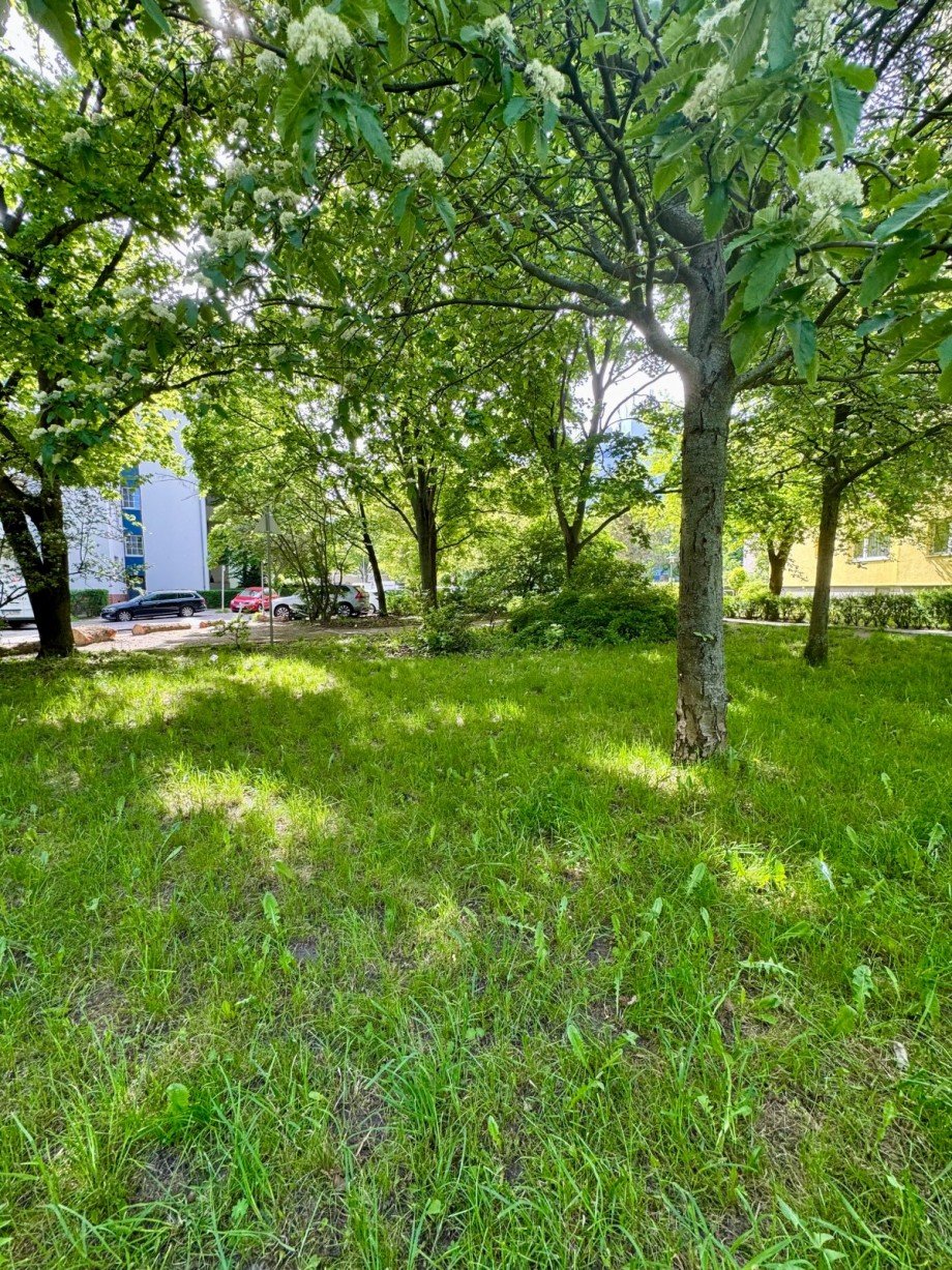 Umgebung Etagenwohnung Berlin