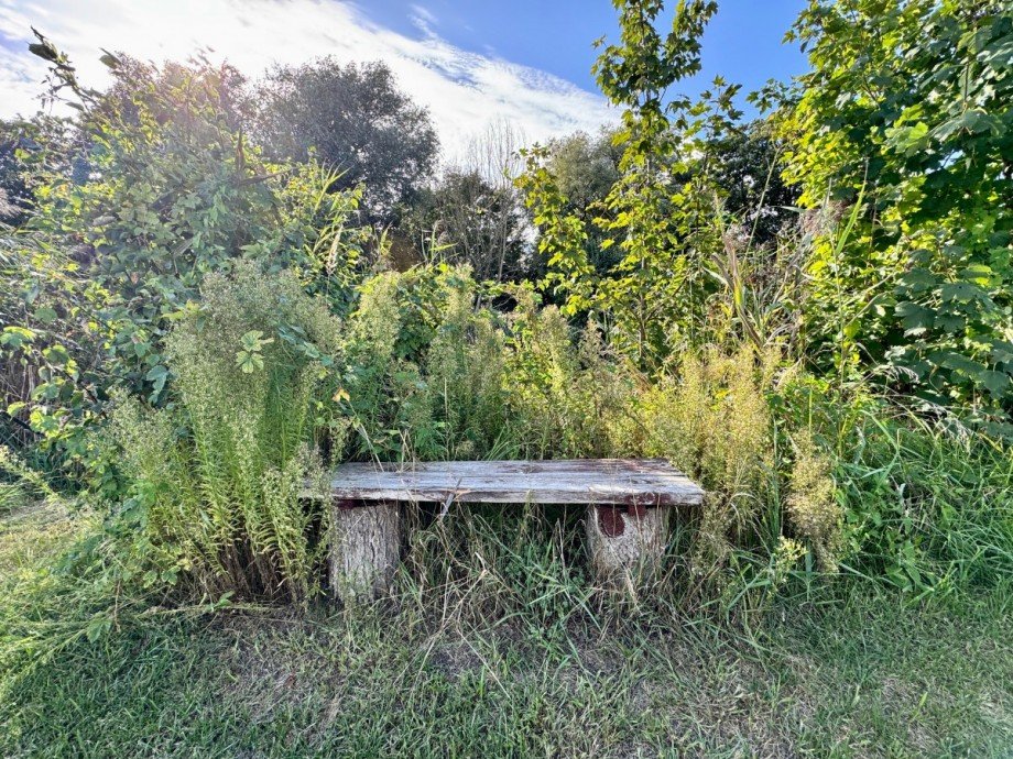 Bank am Grundst�ck Einfamilienhaus Liebenwalde