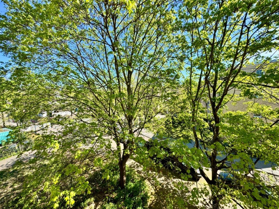 Balkonblick Wohnung Berlin
