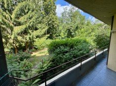 Hauptbild +++bezugsfreie 2-Zimmer-Wohnung im begehrten Zehlendorf+++