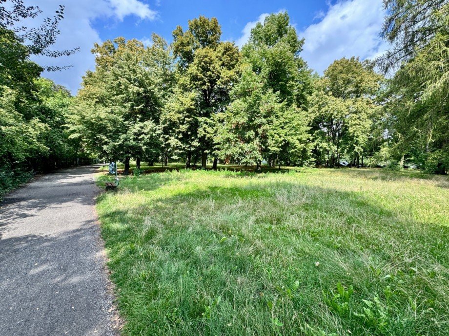 Volkspark Rehberge Etagenwohnung Berlin