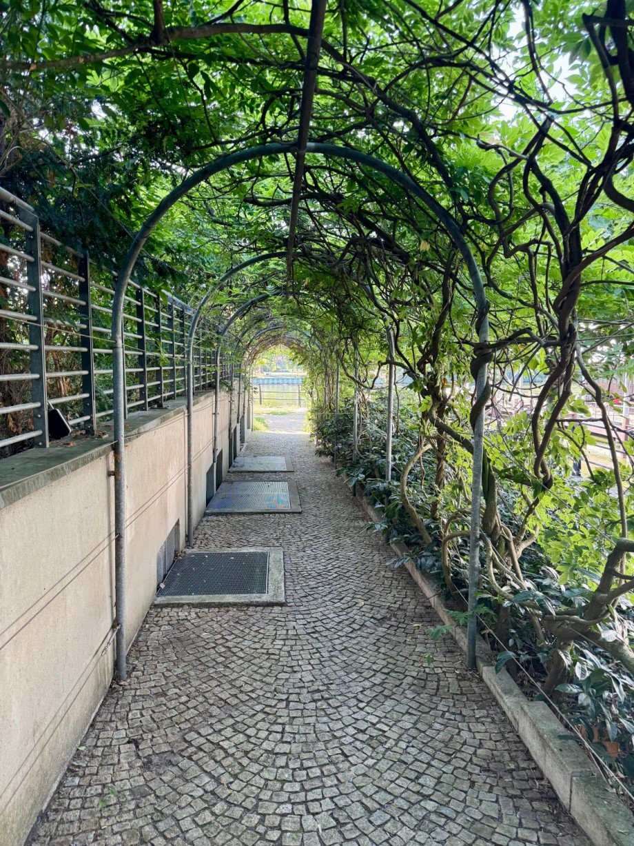 Grundst�ck Etagenwohnung Berlin