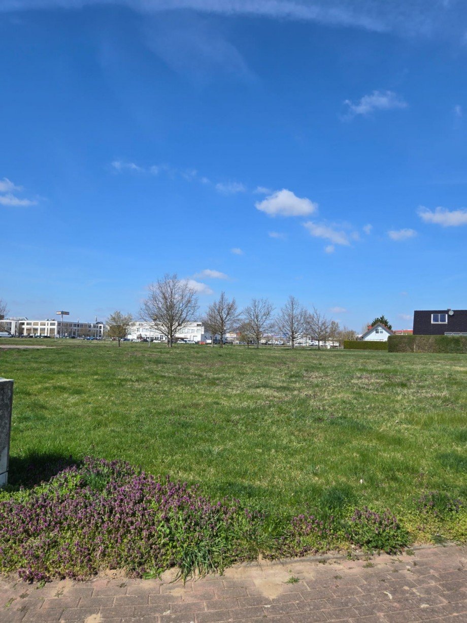 Bild Wohngrundst�ck Sch�nefeld