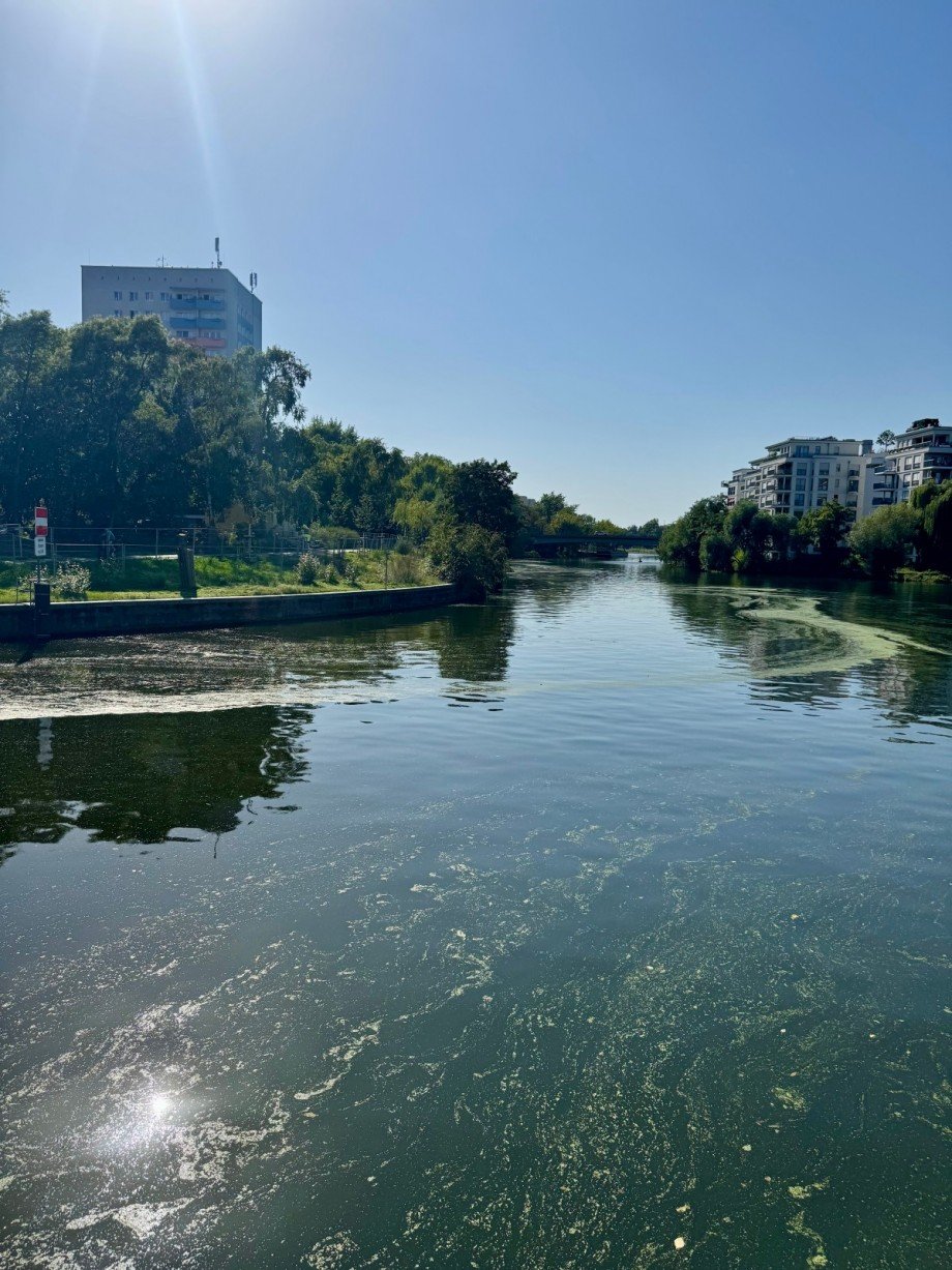 Vor Haust�r Etagenwohnung Berlin