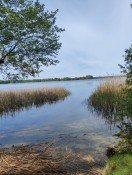 Hauptbild +++Neuer Preis, Rarit�t im Gr�nen: Zwei Flurst�cke mit Zugang zur Badestelle+++