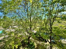 Balkonblick +++Leben im Denkmal, bezugsfreie Top-Floor-Wohnung in Reinickendorf+++