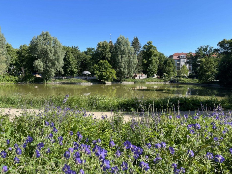 Park Wohnung Berlin
